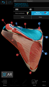 Human Anatomy Atlas 2021 Paid Apk: Complete 3D Human Body 3