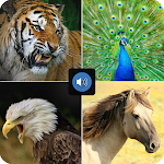 Cover Image of 下载 Animal Voice  APK