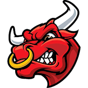 Brevard Bulls