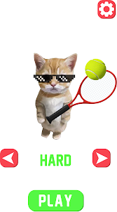 Cat Tennis:Sports Meme Battle