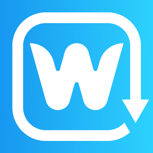 Way Down Fit logo