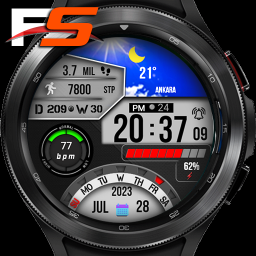 FS W237 Watchface Download on Windows