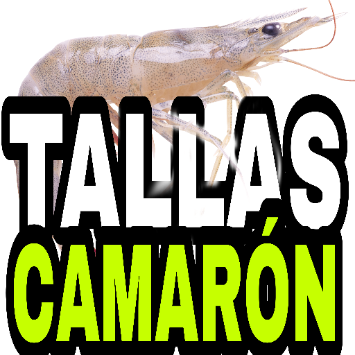 Tallas camaron logo