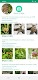 screenshot of Insect ID - AI insect identify