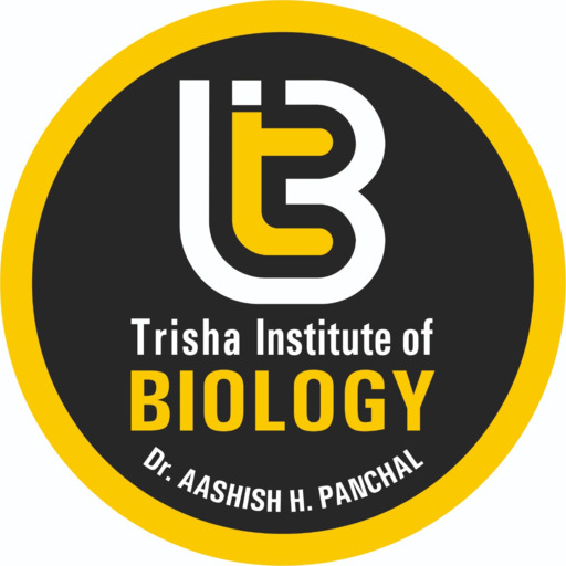 Ashish Sirs Market Place logo