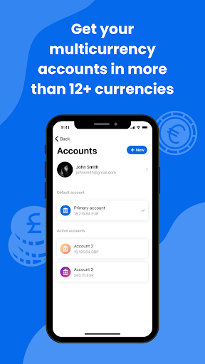 Payine: Money Transfers, IBANs Screen 3