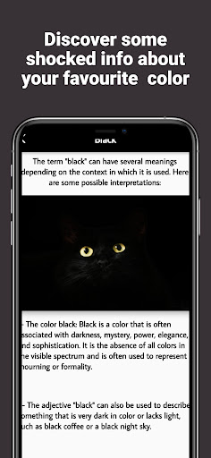 colors and their meanings Screen 3