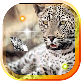Leopards icon