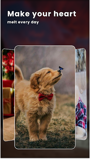 Cute Dog Love HD Wallpaper Screen 3