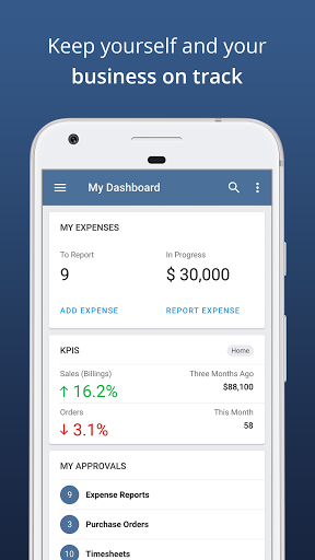 NetSuite Screenshot 1 - AppWisp.com