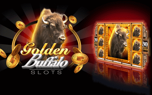Buffalo