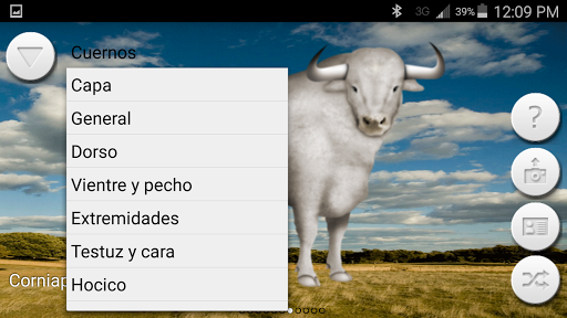 MiToroBravo Screen 3