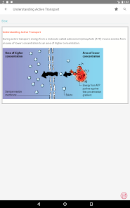 Captura 20 Fluids and Electrolytes MIE android