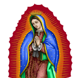 La Virgen de Guadalupe 7 icon