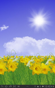 Daffodils Live Wallpaper(圖1)-速報App