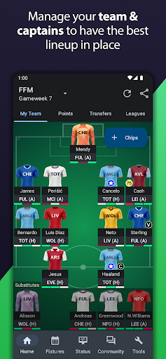 Fantasy Football Manager (FPL) 1
