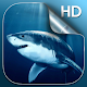 शार्क लाइव वॉलपेपर विंडोज़ पर डाउनलोड करें