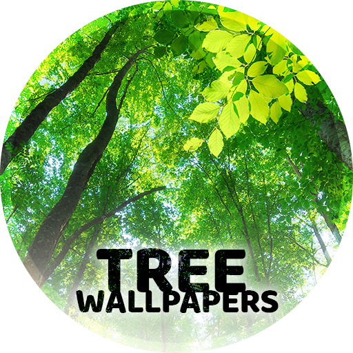 Wallpapers with trees 4K  Icon