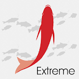 Ikijime Tool Extreme icon