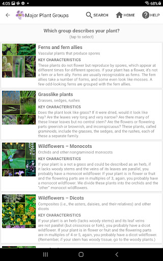 Screenshot of Flora of Virginia