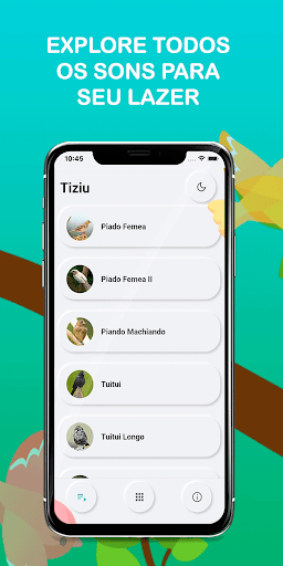 Bird songs tiziu brazil