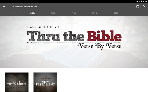Screenshot of Thru the Bible Verse by Verse