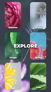 Word Crossed – Offline Games 5