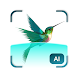 Bird Detect - Androidアプリ
