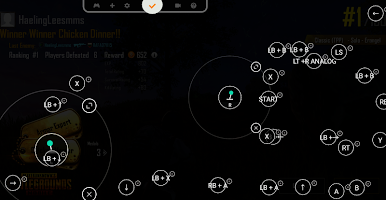 screenshot of Panda Gamepad Pro