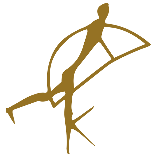 Kalagadi VMS logo