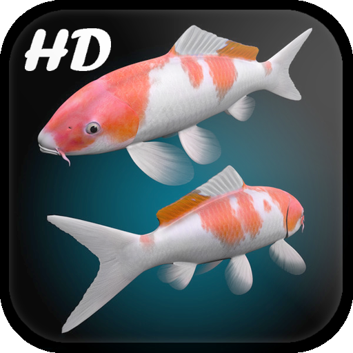Koi Fish Live Wallpaper 3d Google Play 應用程式
