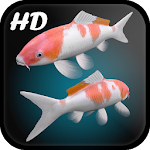 Koi Fish Live Wallpaper 3D Apk