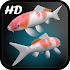 Koi Fish Live Wallpaper 3D1.5