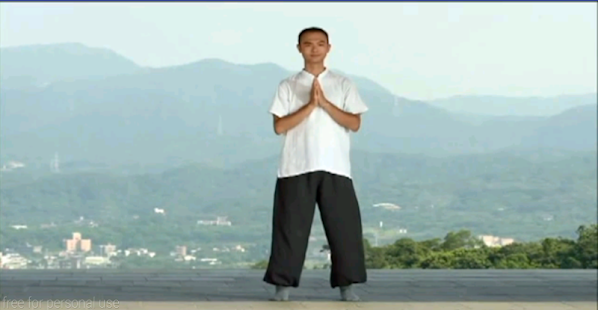 Eight Movements of Zen