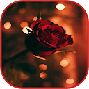 Flowers and Roses Images Gif APK