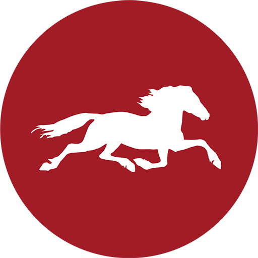 Metsämäki logo