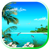 Dolphines Island Beach 2015 icon