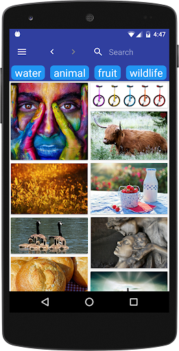 Android application Image Search screenshort