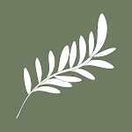 Cover Image of 下载 Sage Green Aesthetic Wallpaper  APK
