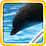 Jigsaw Puzzles: Dolphins icon