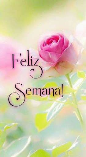 Frases de Boa Semana Screen 2