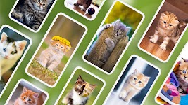 screenshot of Cat Wallpapers & Cute Kittens