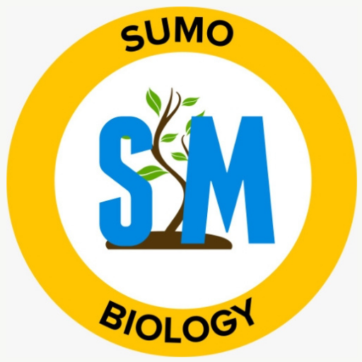 Sumo Biology