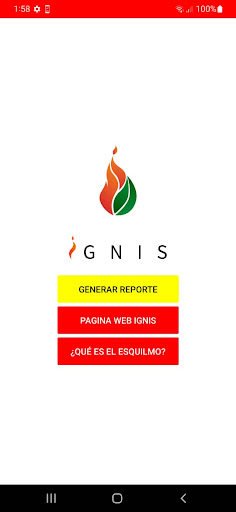 IGNIS Guanajuato Screen 2