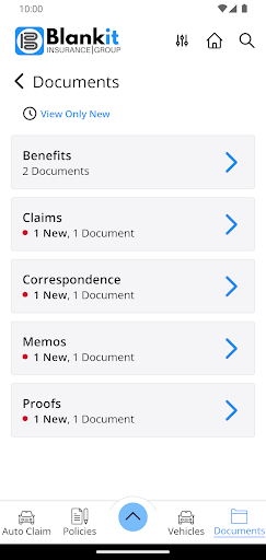 Blankit Insurance Group Screen 3