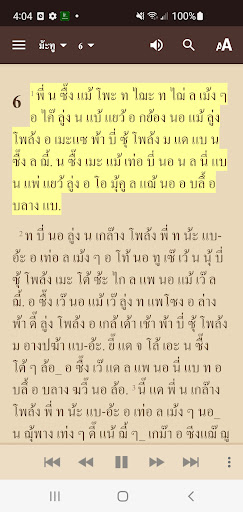 Karen Pwo Northern Bible Screen 3