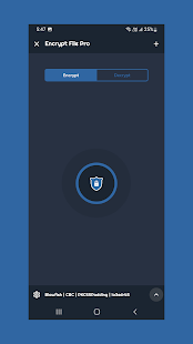 Encrypt Decrypt File Pro Screenshot