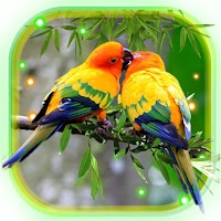 Любовь Птицы Живые Обои