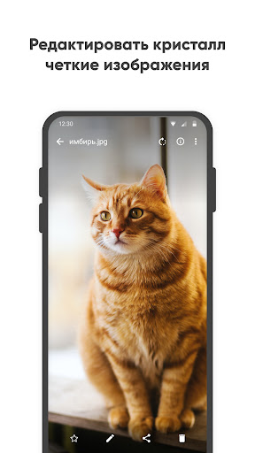 Простая галерея Pro Скриншот Приложения для Android 5