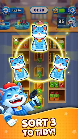 Game screenshot Tidy Shelf Sort mod apk